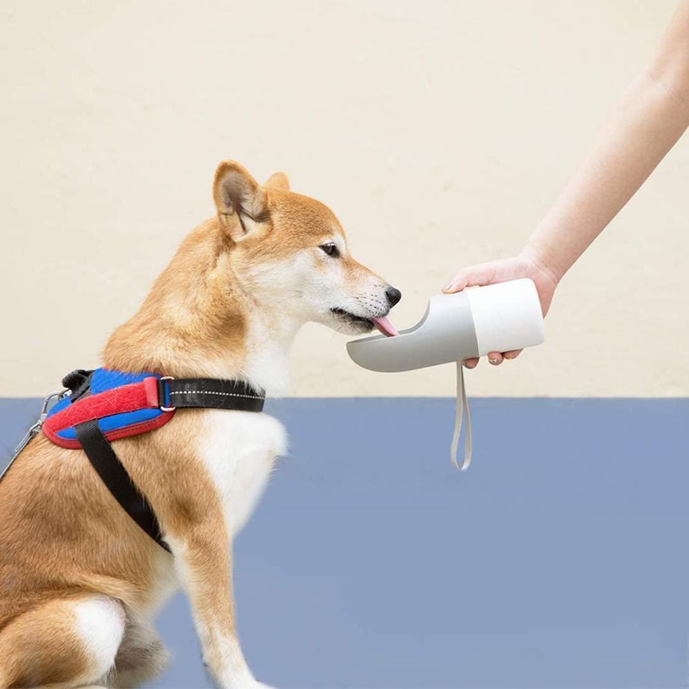 Pet Travel Water Bottle